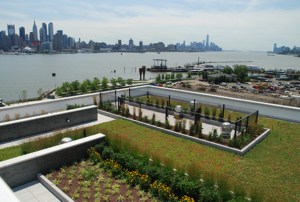 aerial view of green roofing system with skyline in the background