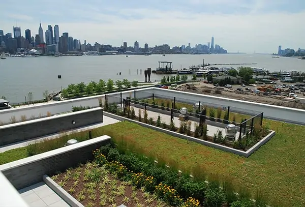 green-services-garden-roof