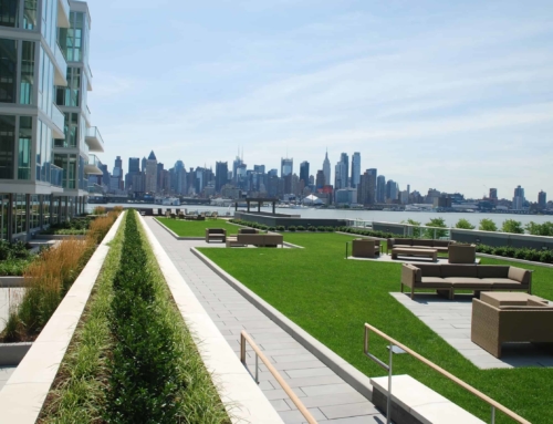 Is a Green Roof System Worth the Investment?