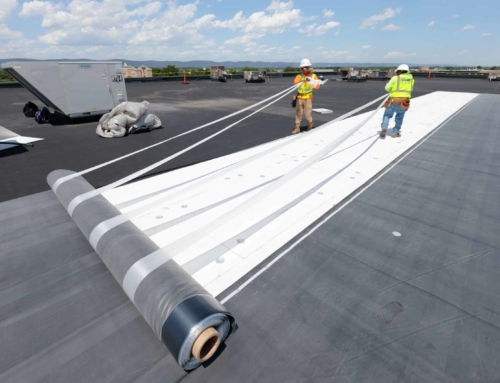 Single Ply Membrane Roof: What You Need to Know