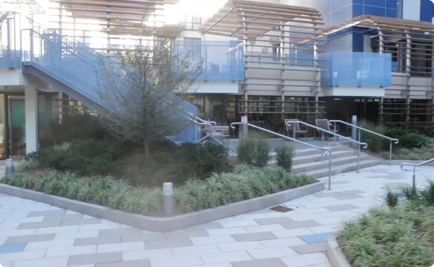 Modern building entrance with stairs, ramps, greenery; TPO roofing at 800 10th Avenue.