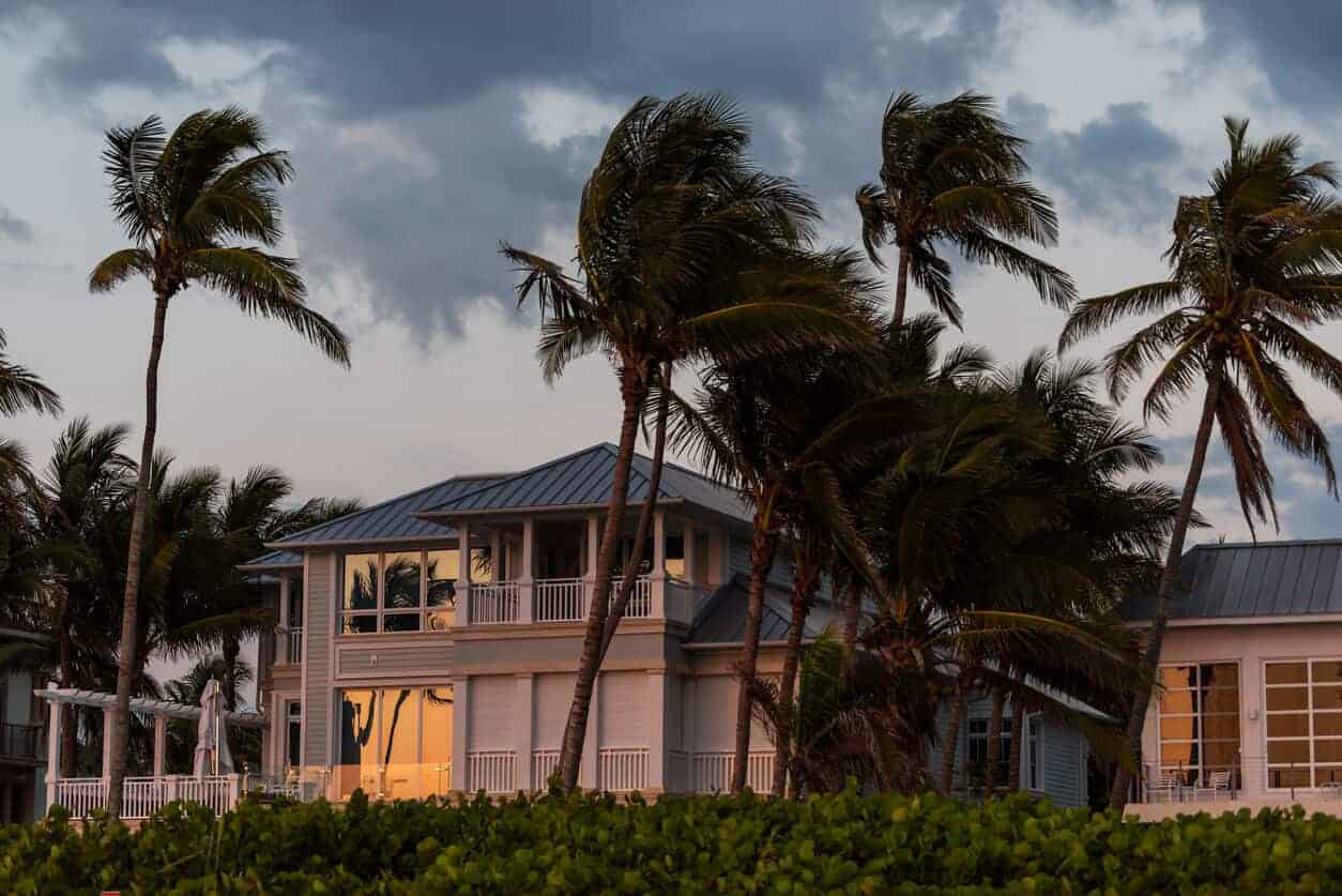 Florida home with new metal roofing with palm trees blowing.