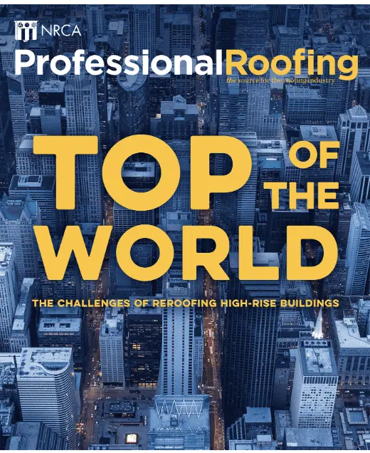 professional roofing