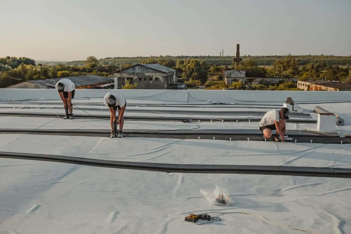 RD Roofer & Commercial Roofing RD Roofer & Commercial Roofing