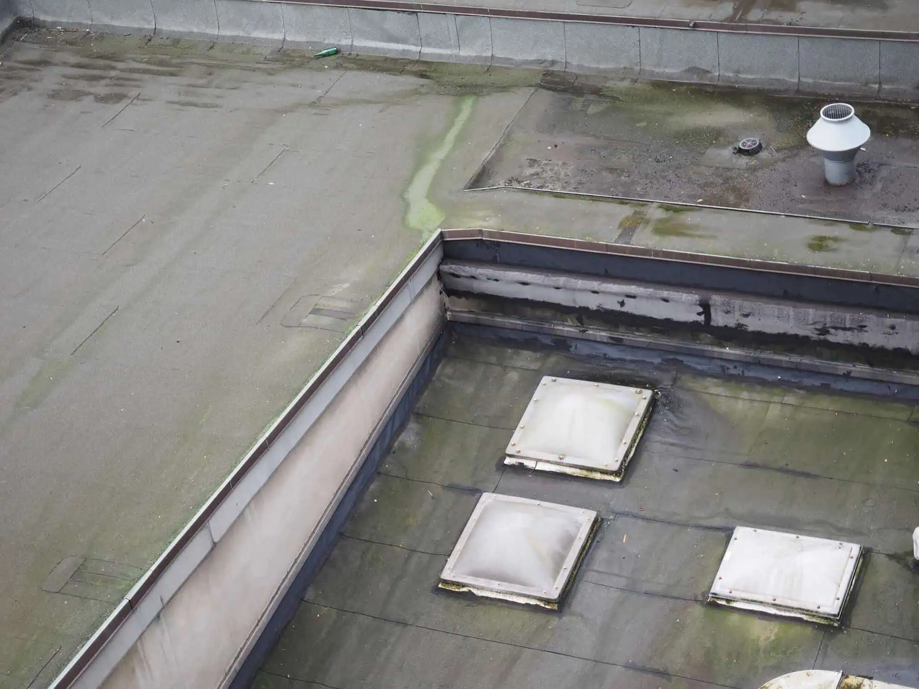 commercial roofing mold and mildew