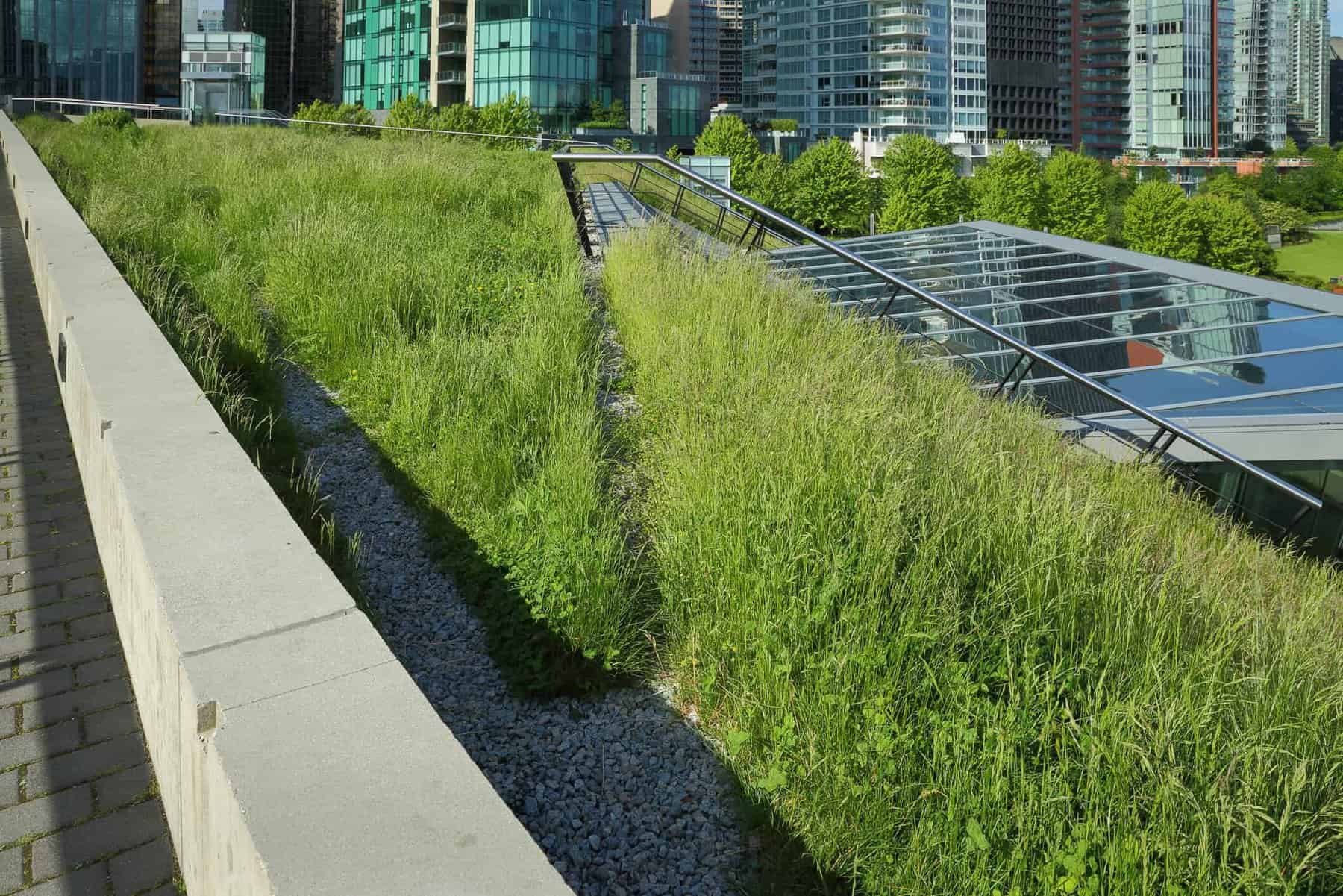 commercial roofing trends