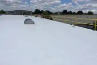 Commercial flat roof with white TPO surface, dome structure, and yellow safety railings.