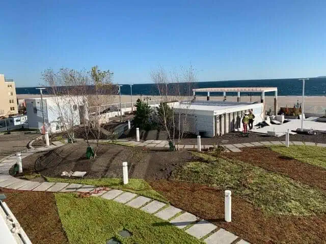 living roofs