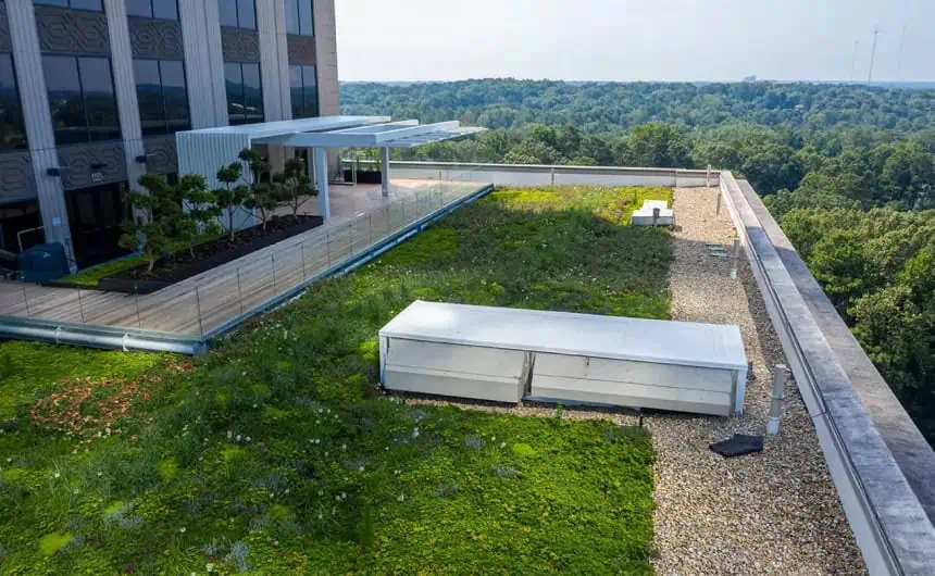 Resurgens Plaza rooftop garden: Greenery, gravel paths, seating, forest view.