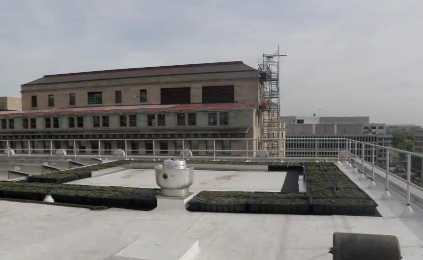 Commercial Flat Roof with Planters; Multi-Story Building Scaffolding in Background