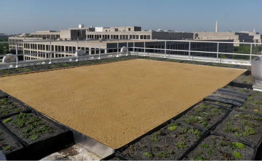 Square section rooftop with brown materials and metal railing, surrounded by greenery. Buildings in the background.