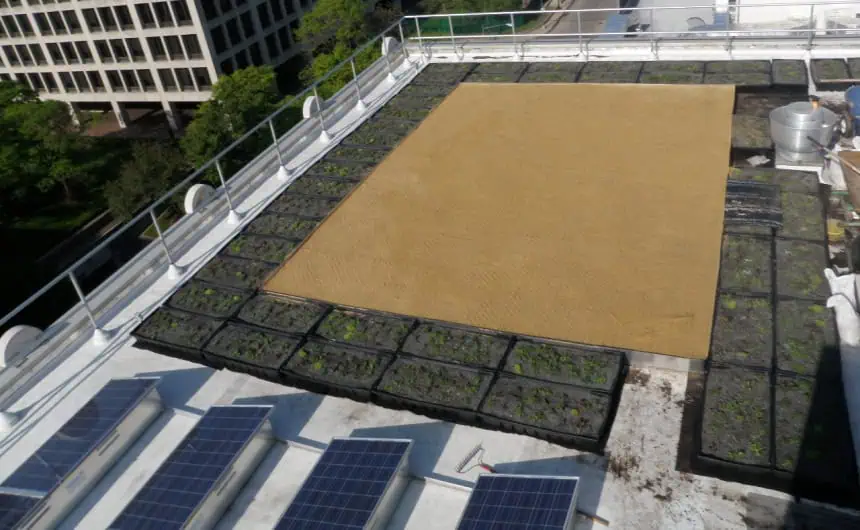 Eco-Friendly Commercial Roof with Solar Panels and Greenery