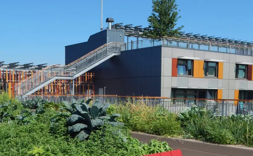 Modern commercial building with rooftop greenery and multicolored panels.
