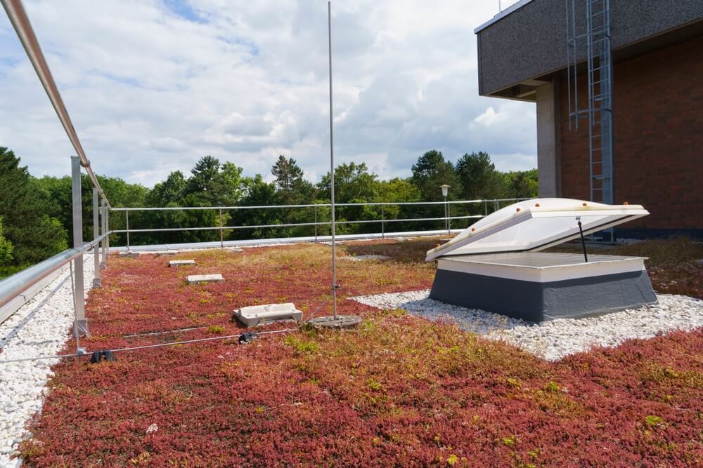 Green roof on commercial building with venting skylight for daylight